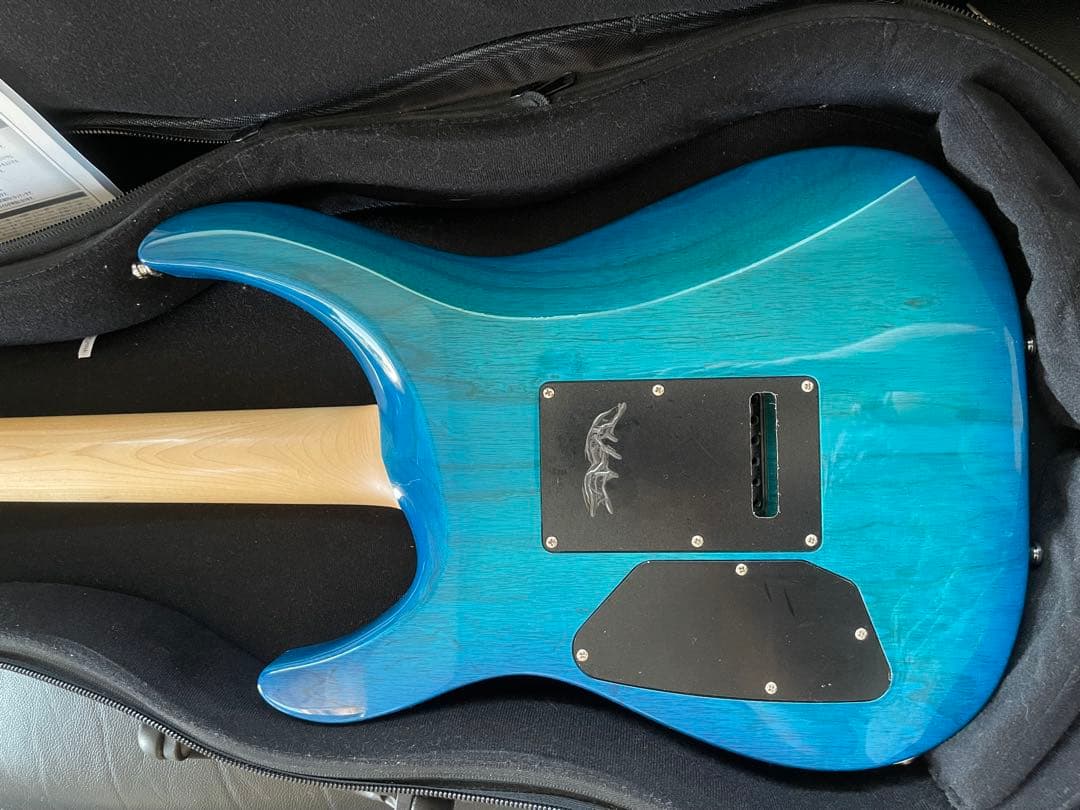 【激レア】G-Life Guitars DSG Classic ロイヤルブルー
