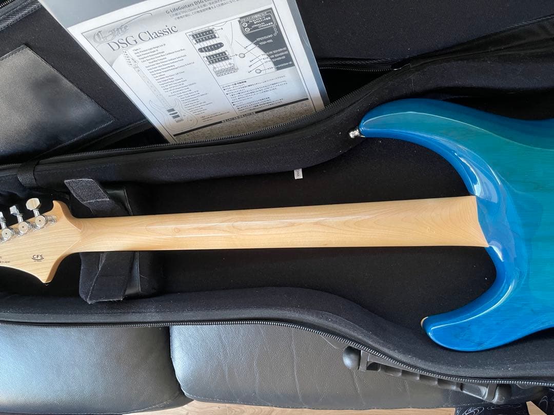【激レア】G-Life Guitars DSG Classic ロイヤルブルー