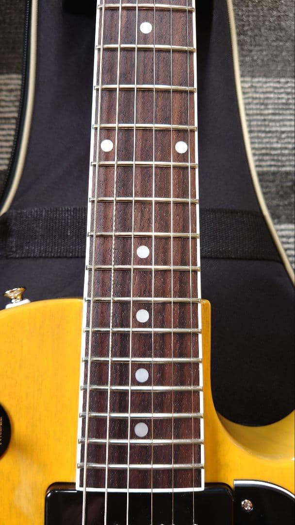 【極美品】Tokai：LSS-101 SYW 2025年製