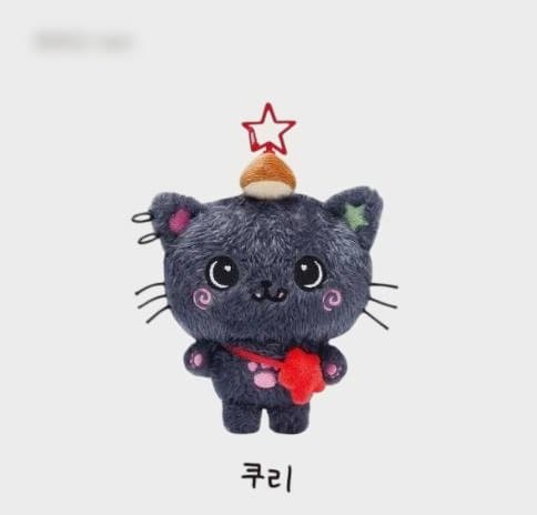 リク ぬいぐるみ NCT WISH WISH DOLL RIKU クリ 未開封