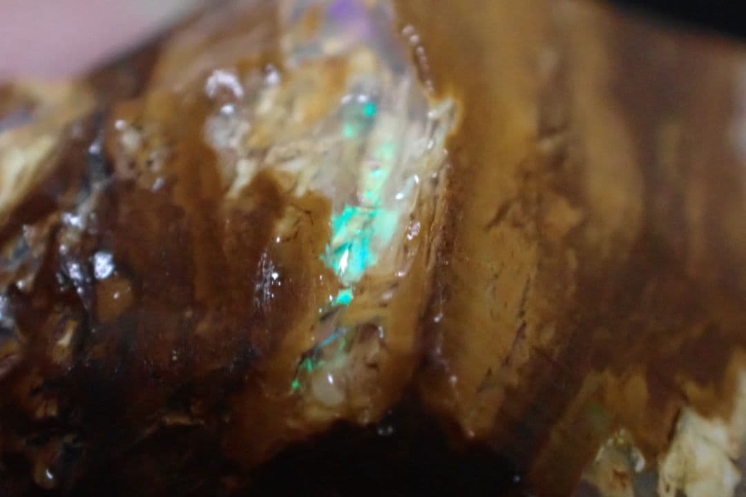 ウッドオパール　原石　オーストラリア　送料無料