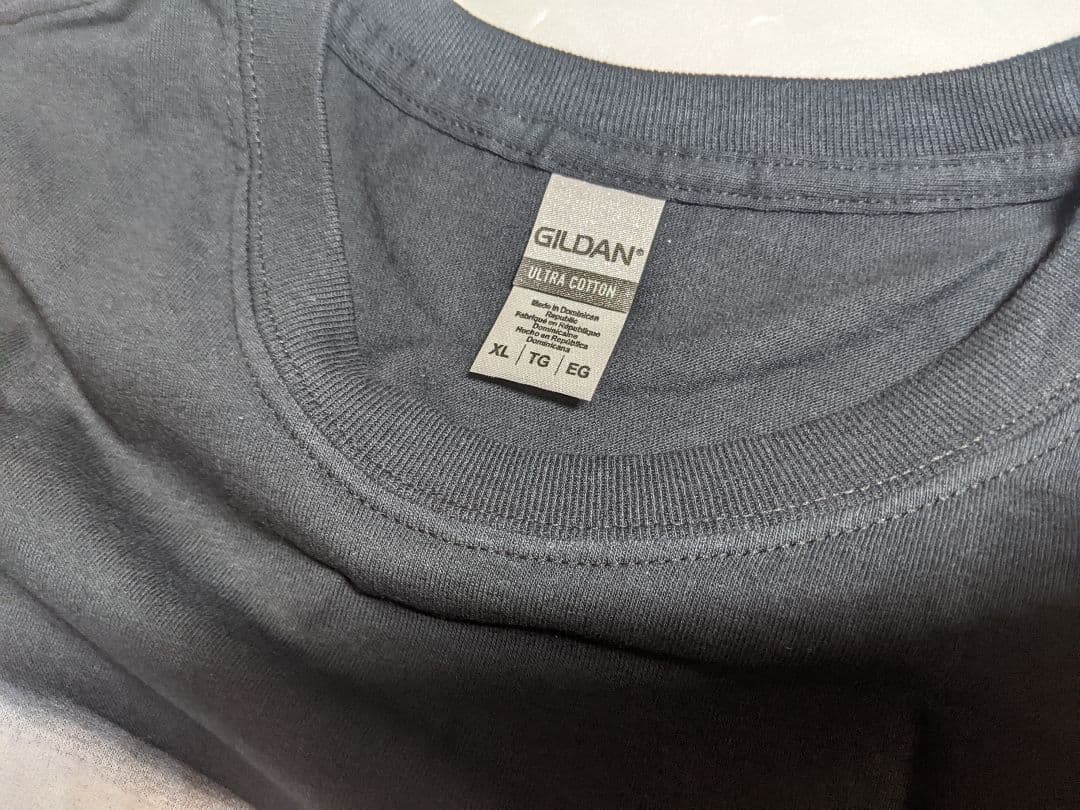 新品 NICKELBACK バンドTシャツ ニッケルバック GILDAN シャツ