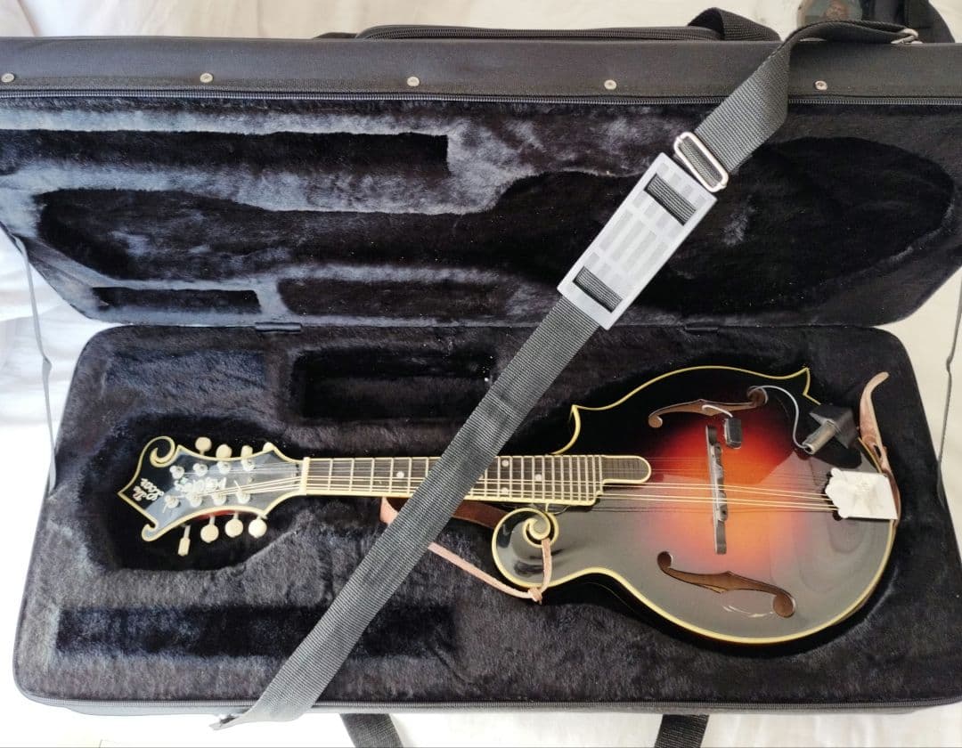 The Loar フラットマンドリン