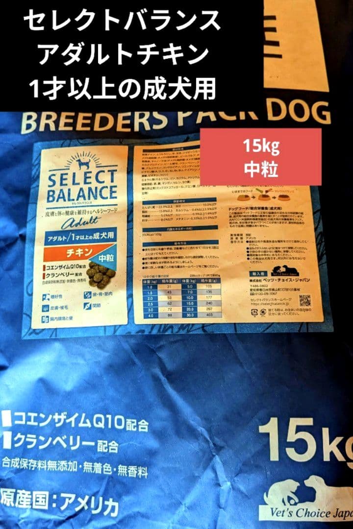 りんごチャン