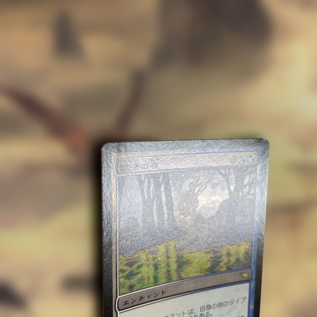 MTG 魔法の夜/Enchanted Evening 日本語　foil