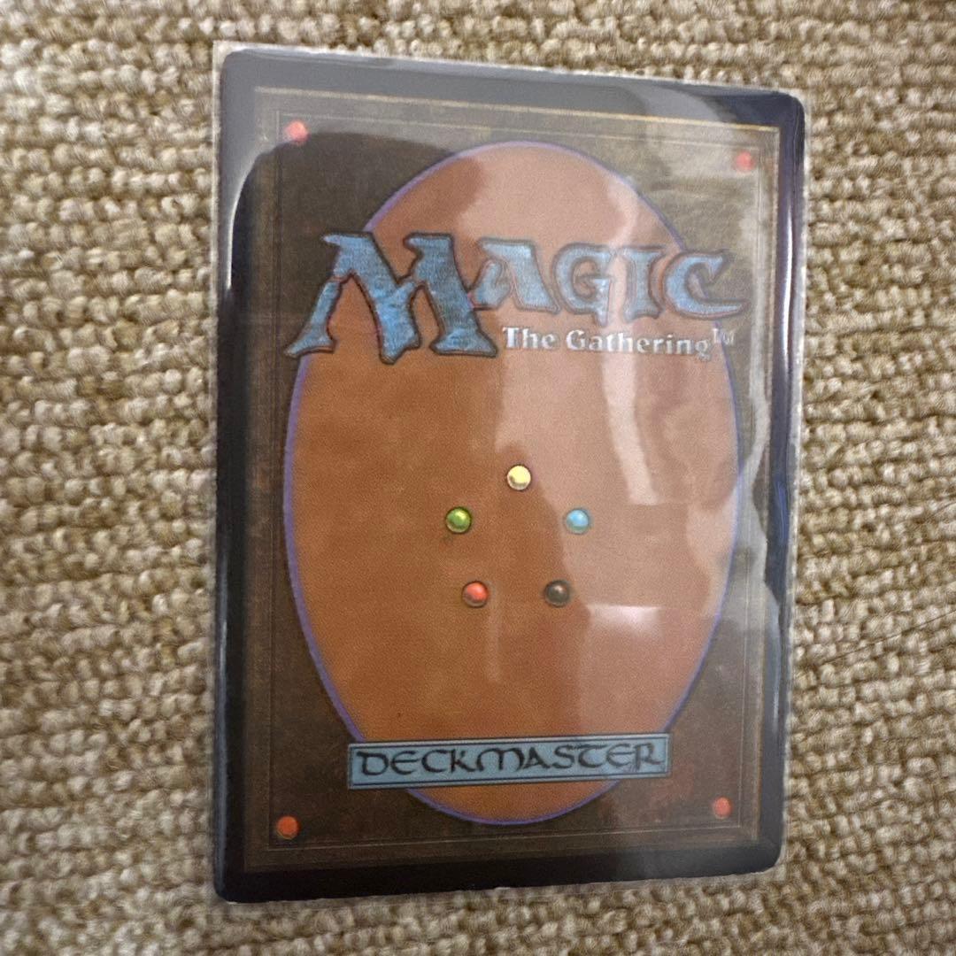 MTG セラの聖域