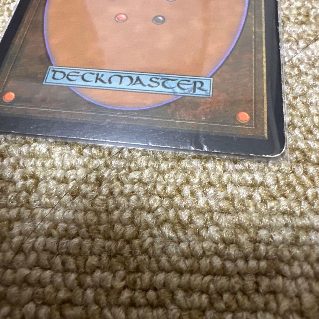 MTG セラの聖域