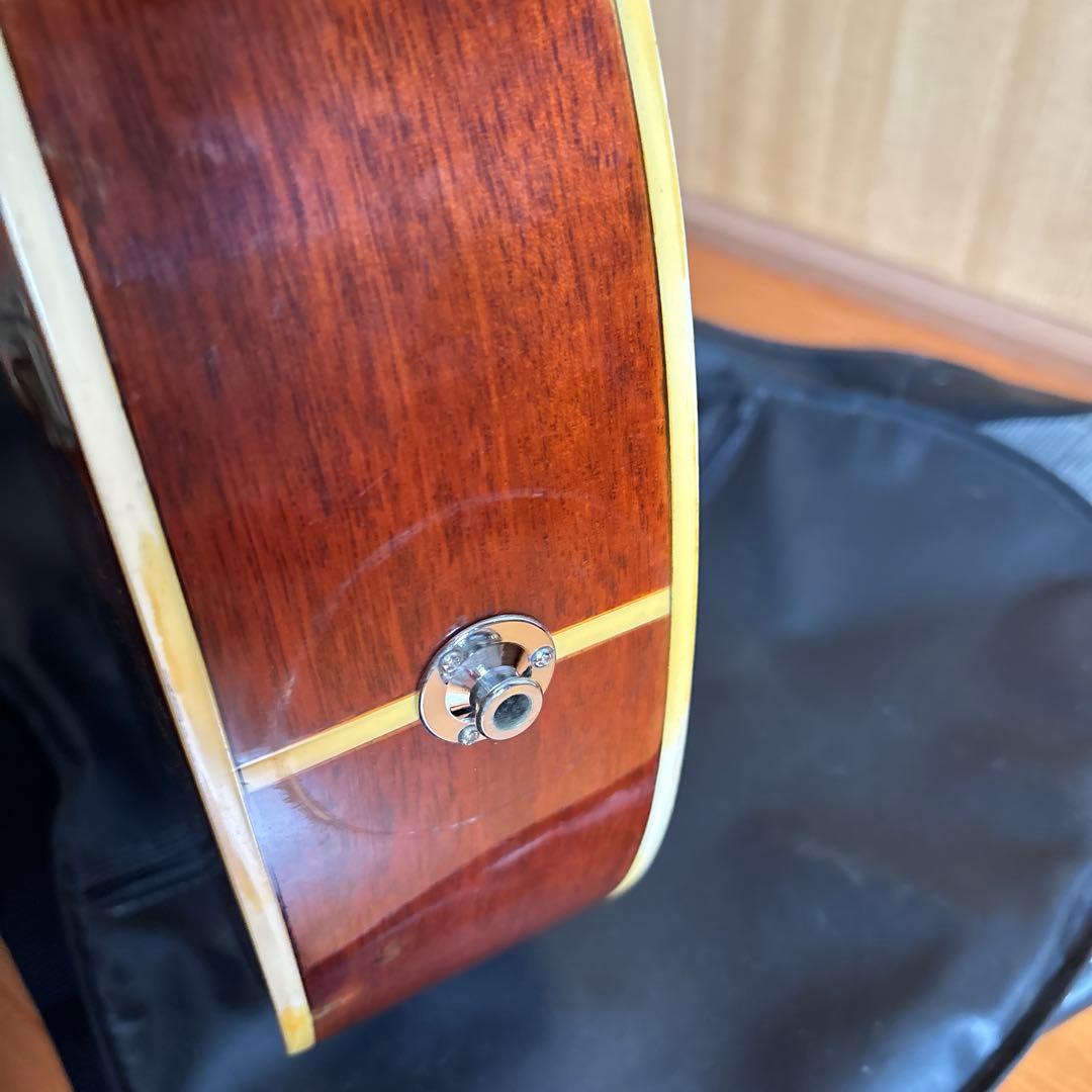 エレクトリック・アコースティックギター　Pro Martin EA500W VS