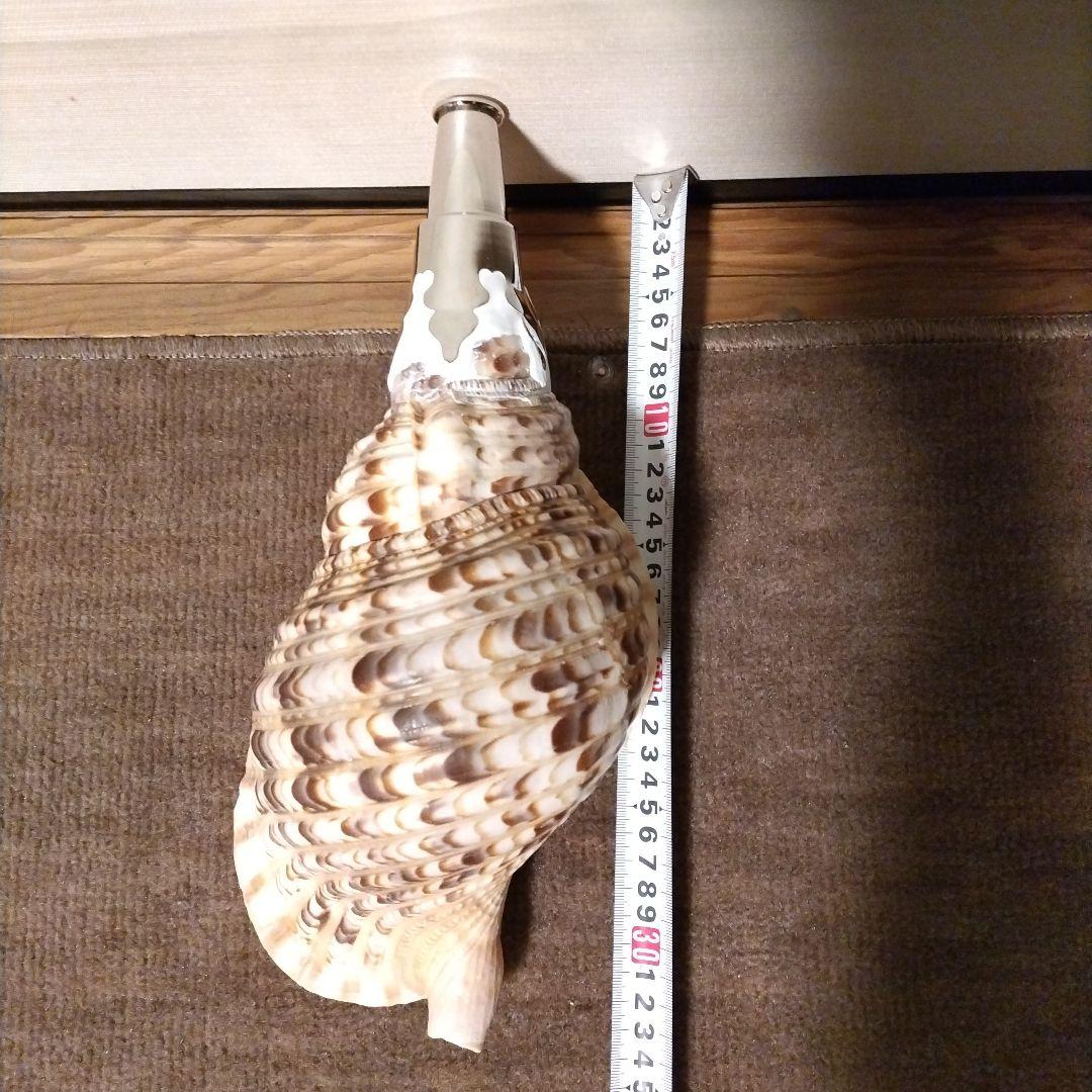 法螺貝　　④
