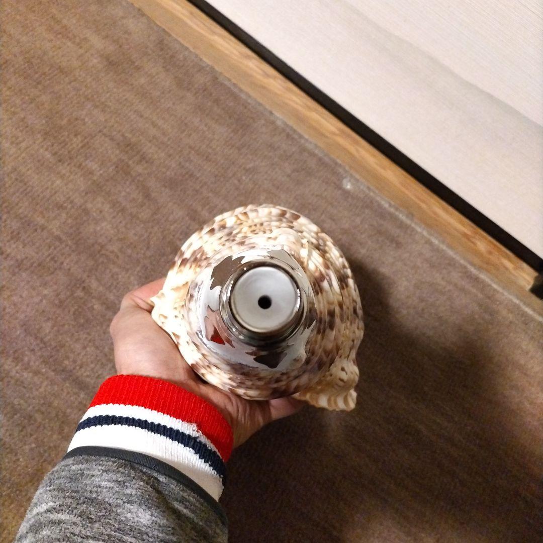 法螺貝　　④