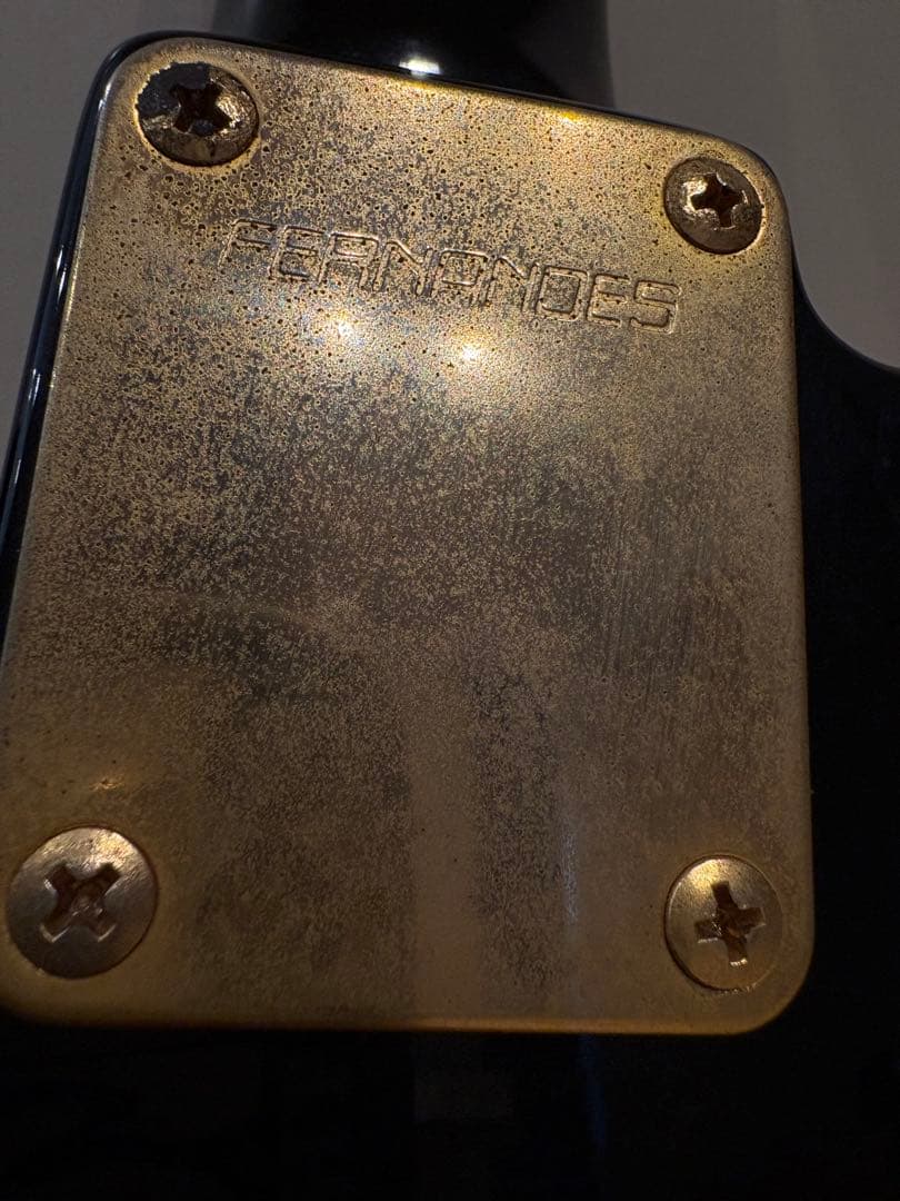最終値下げです　FERNANDES TEJ-55G リミテッドエディション