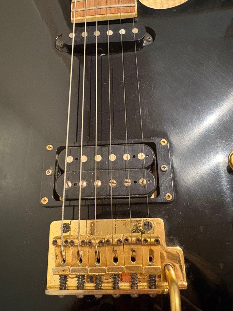 最終値下げです　FERNANDES TEJ-55G リミテッドエディション