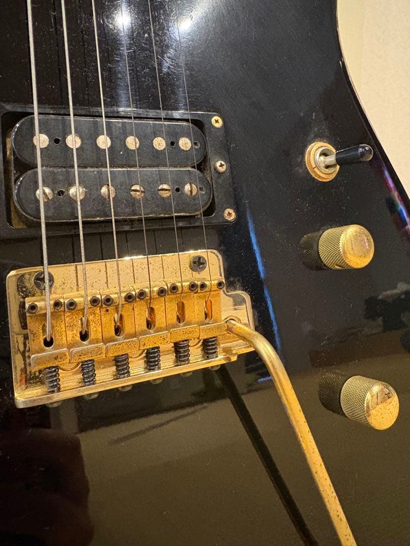 最終値下げです　FERNANDES TEJ-55G リミテッドエディション