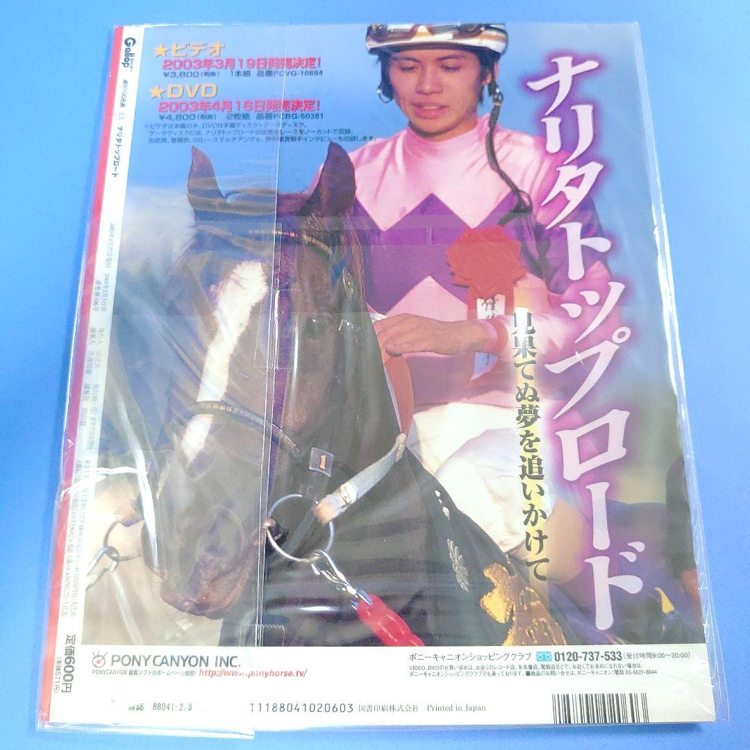【稀少】ナリタトップロード ウマ娘 ぬいぐるみ 競馬アイドルホース馬AVANTI
