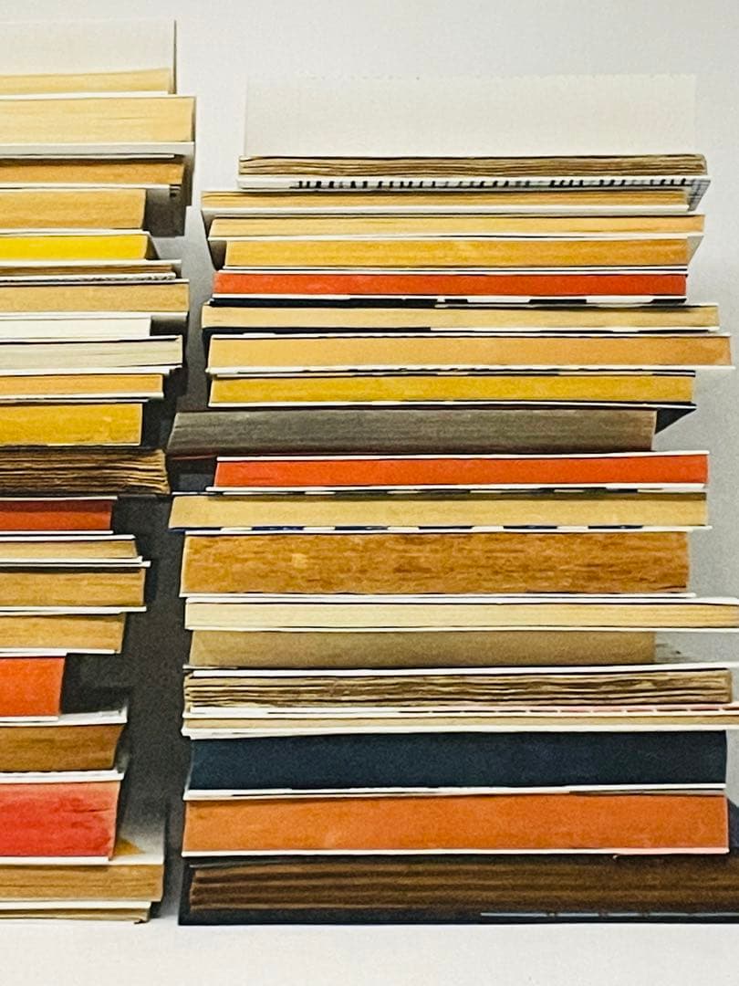 フランス現地完売品 人気北欧アーティストNigel Peake 両面ポスター