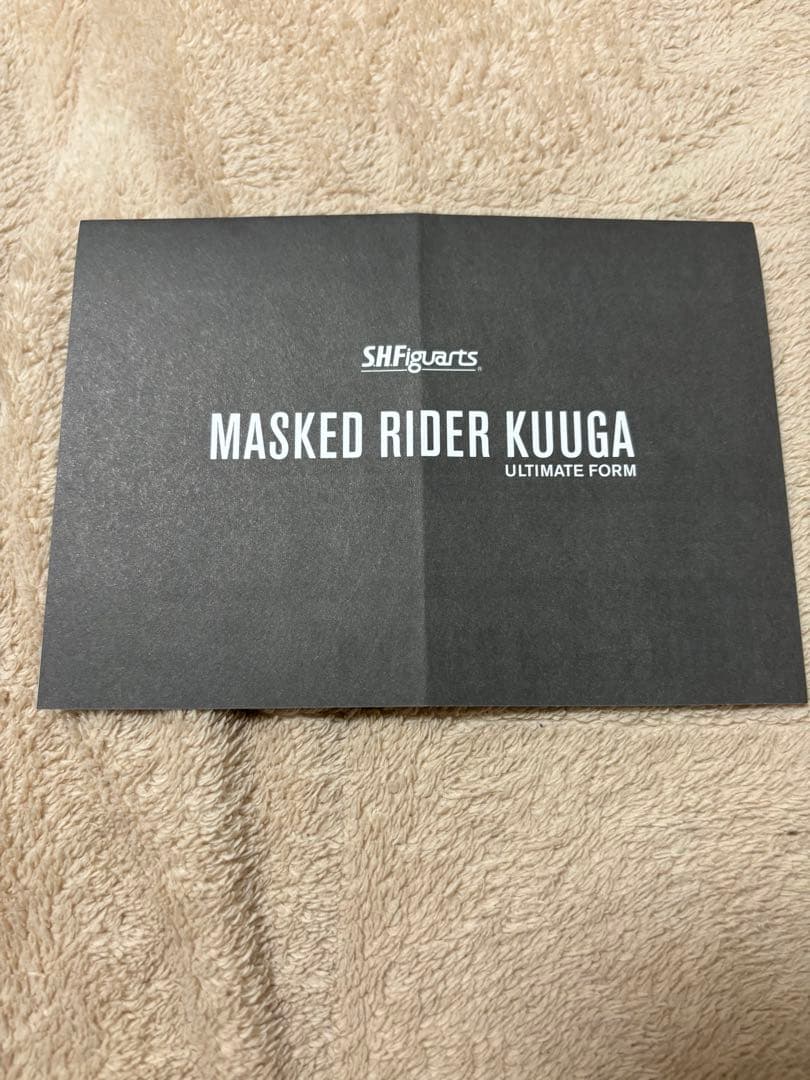 仮面ライダークウガ アルティメットフォーム　真骨彫　(赤い目の頭部に欠け有り)