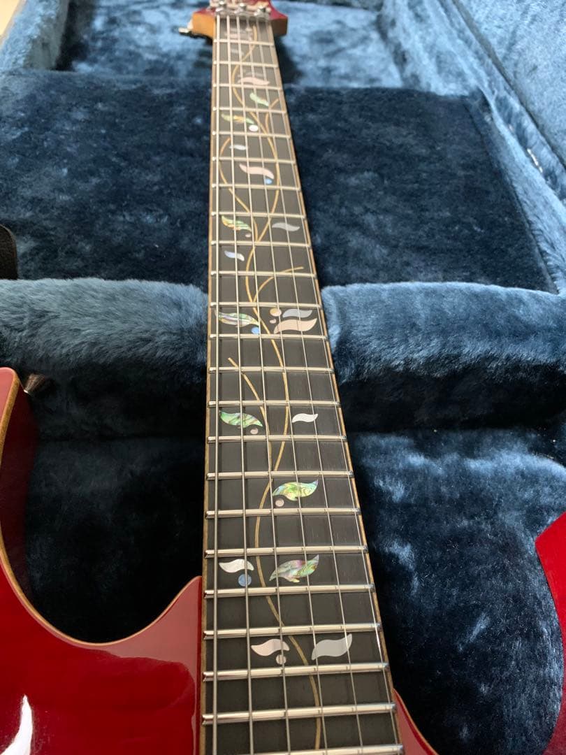 Ibanez RG8670 MOD品