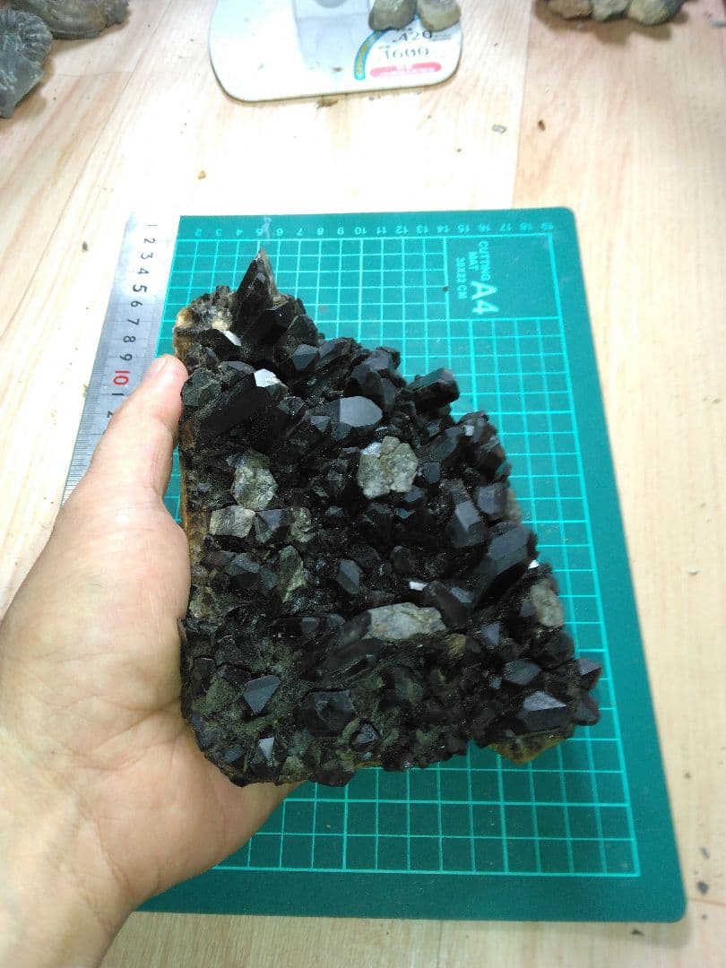 中国産　モリオン水晶　クラスター　黒水晶