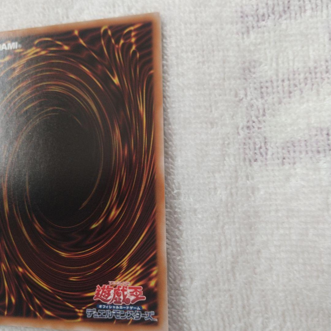 マリスポーンホワイトラビット25th