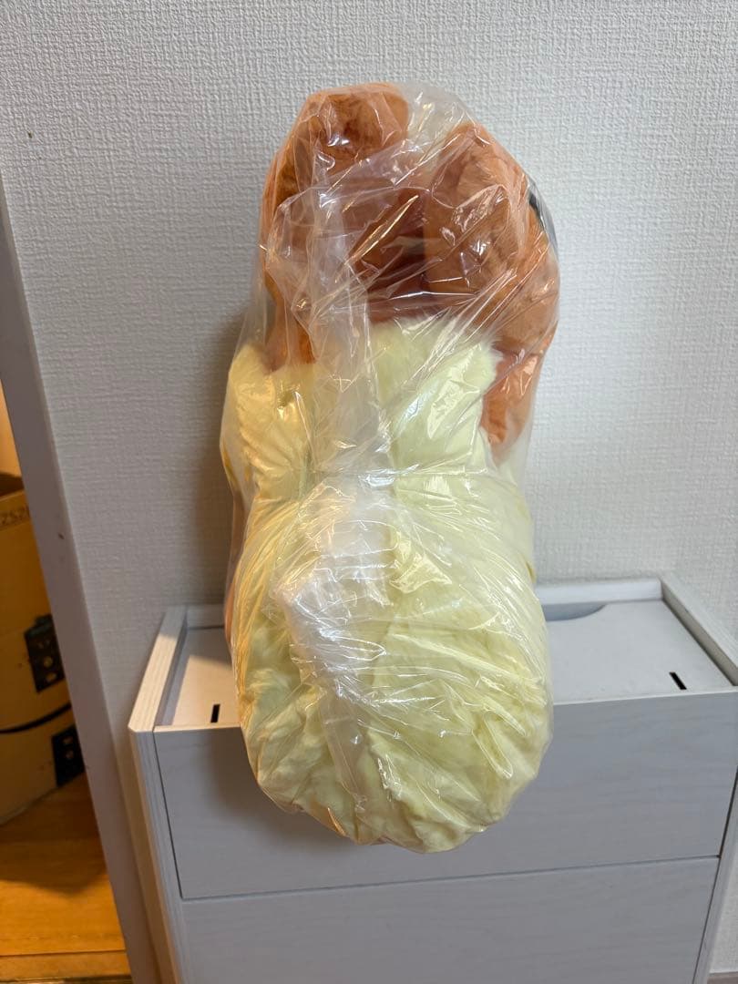 【新品未開封】ポケモンセンターオリジナル　ふわふわ抱きぬいぐるみ　ブースター