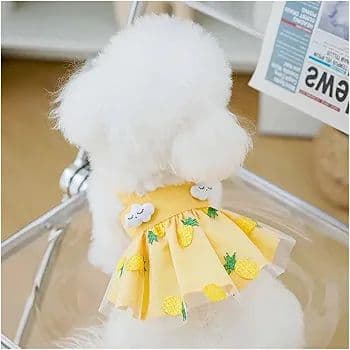 夏犬ドレス小型犬用高級犬服チワワフレンチブルドット　S