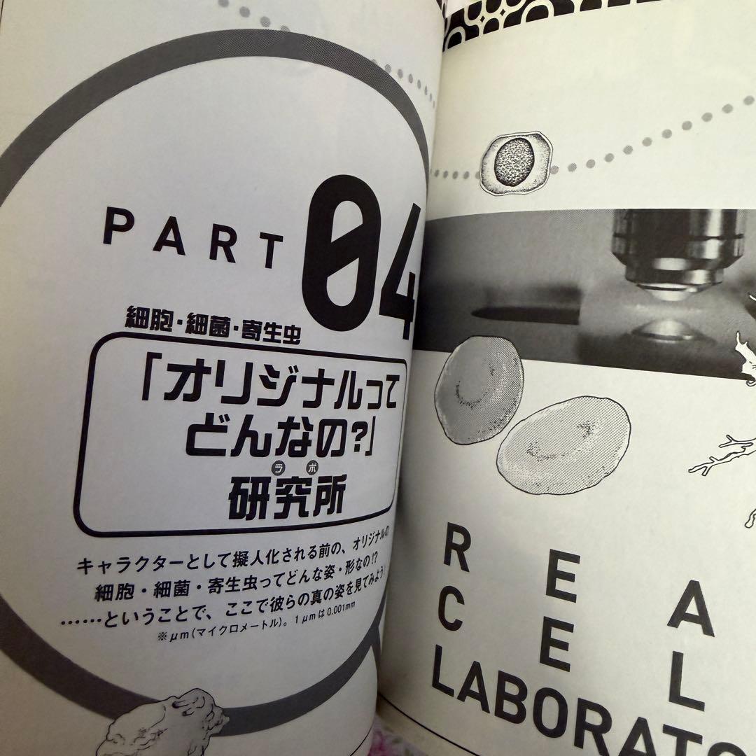 はたらく細胞 マッスル 小説 はたらく細菌 公式ファンブック 漫画 清水茜