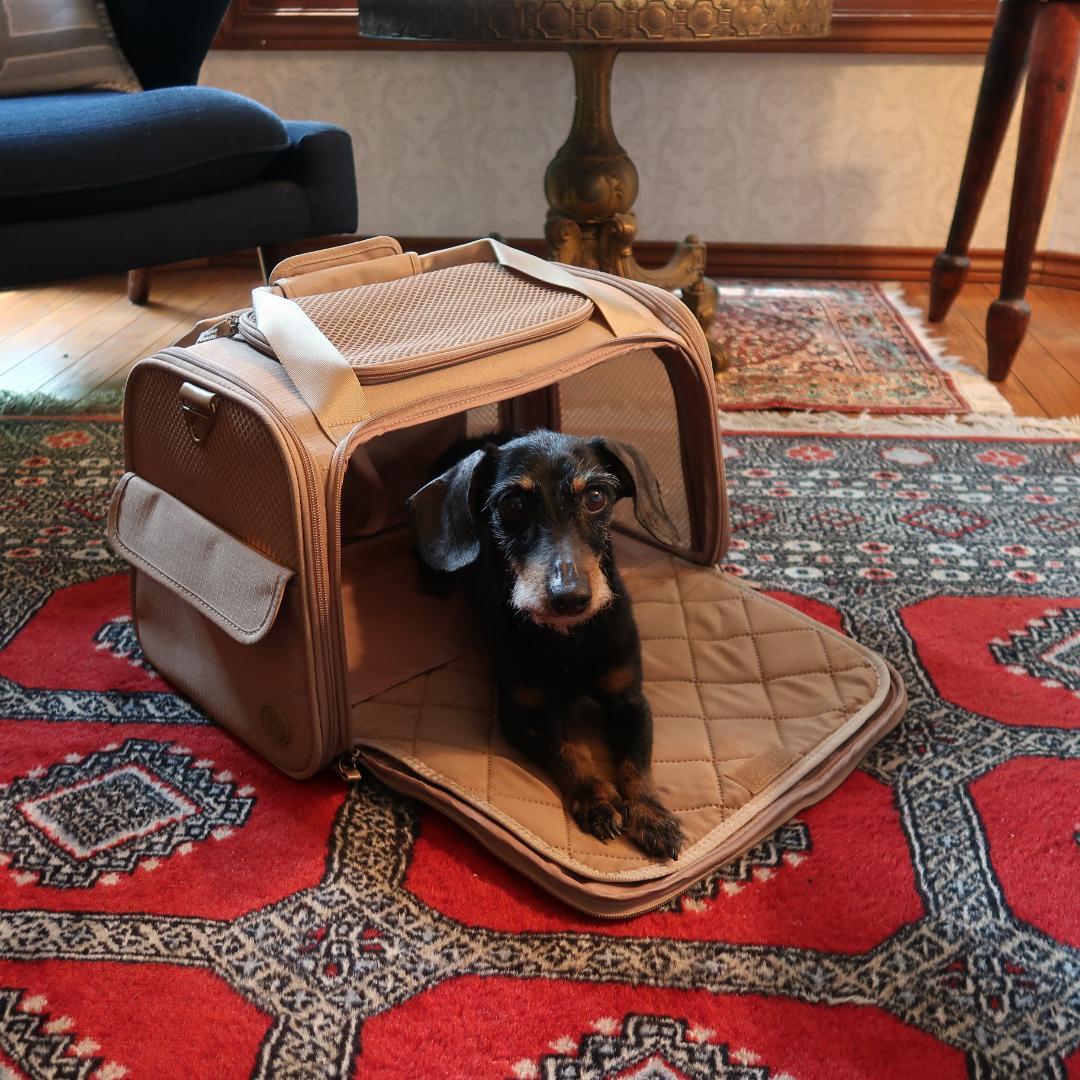 新品 Petco Reddy ペット ドッグ キャリー インポート 輸入 犬 猫