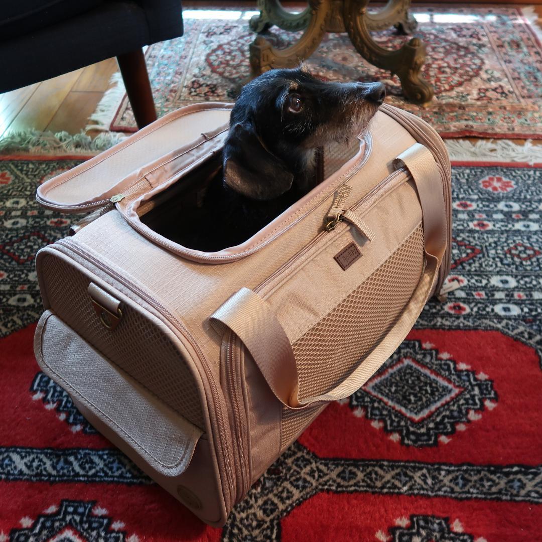 新品 Petco Reddy ペット ドッグ キャリー インポート 輸入 犬 猫