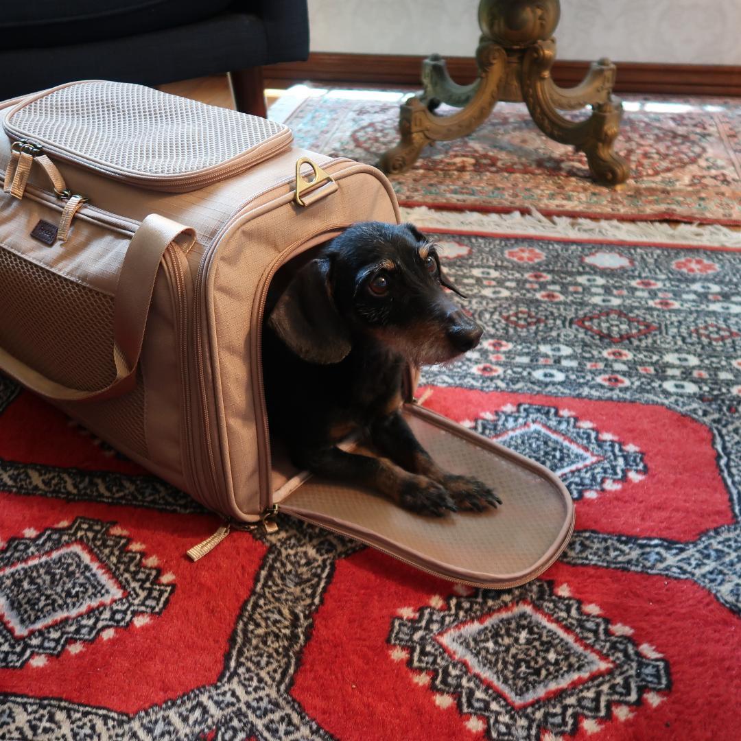 新品 Petco Reddy ペット ドッグ キャリー インポート 輸入 犬 猫