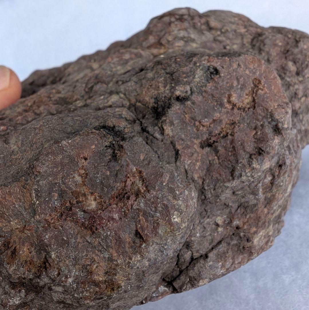 特大　本物　大型肉食恐竜の糞の化石　多彩　メノウ化　標本　1866グラム
