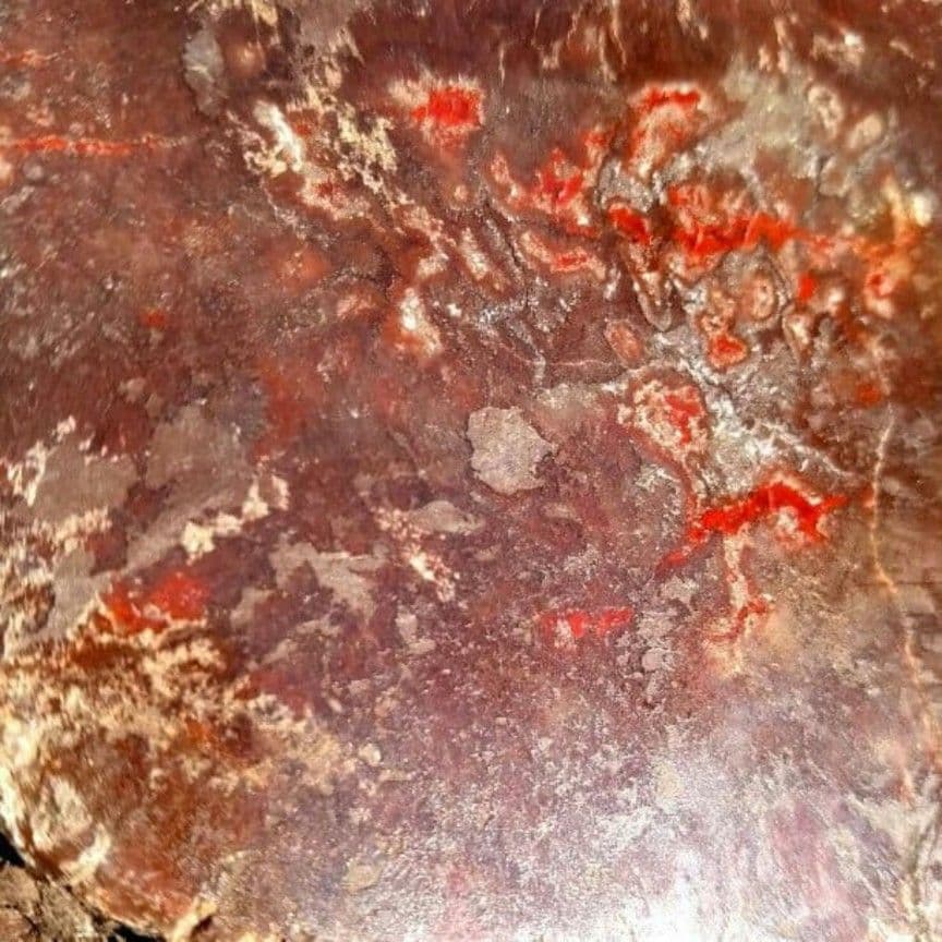 特大　本物　大型肉食恐竜の糞の化石　多彩　メノウ化　標本　1866グラム