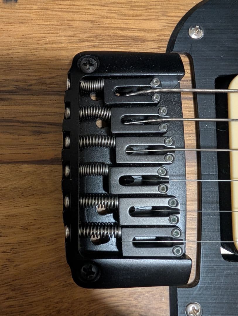 (最終値下げ)Schecter SVSS エレキギター•ハードケース付