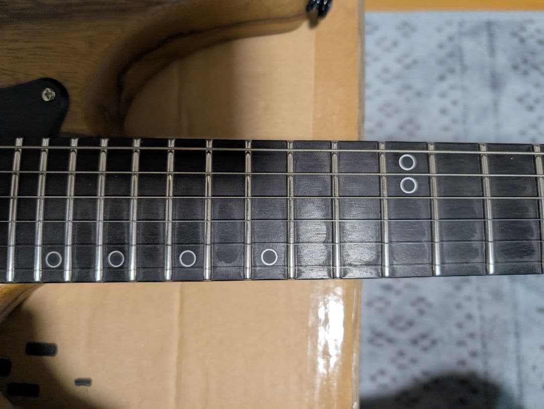 (最終値下げ)Schecter SVSS エレキギター•ハードケース付