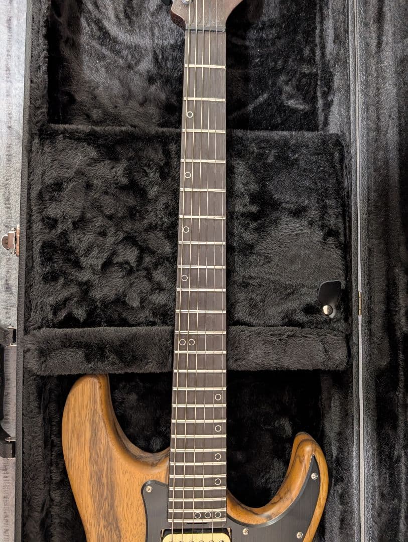 (最終値下げ)Schecter SVSS エレキギター•ハードケース付