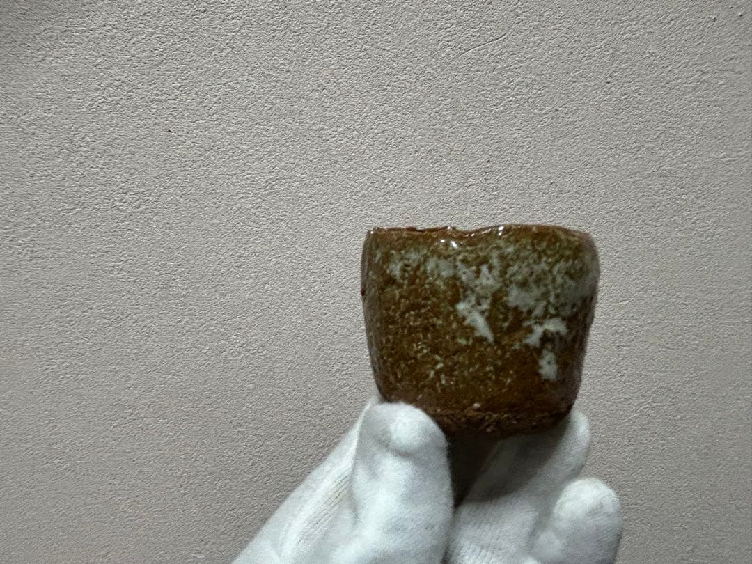 こけむすび