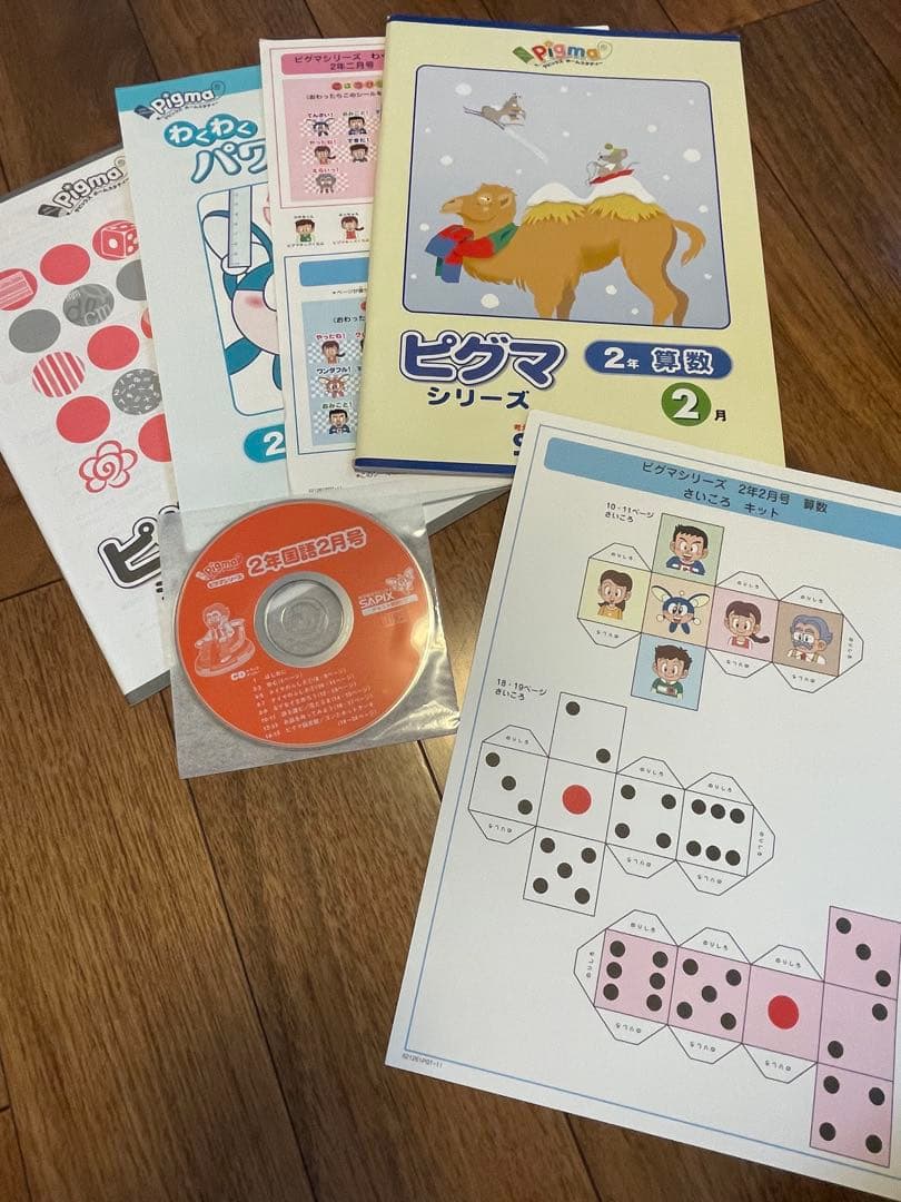 【未記入】サピックス　ピグマ　2年生　通信