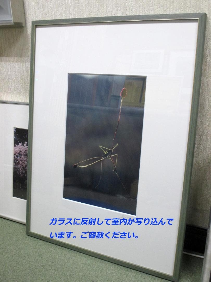 著名な写真家の珍しい写真と大全紙額縁（木製）