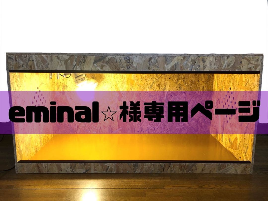 eminal⭐︎ページ