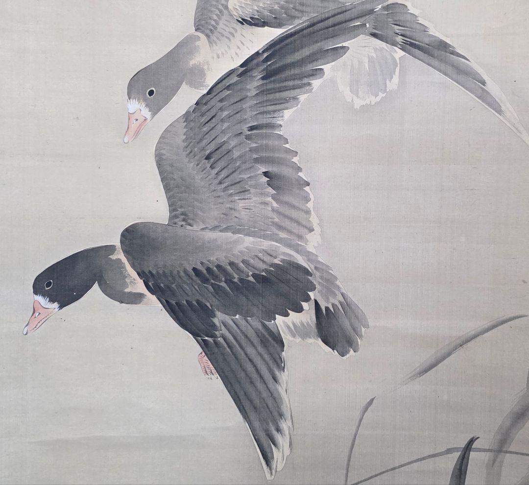 【月に雁図】望月金鳳 2714 秋掛 掛け軸 肉筆