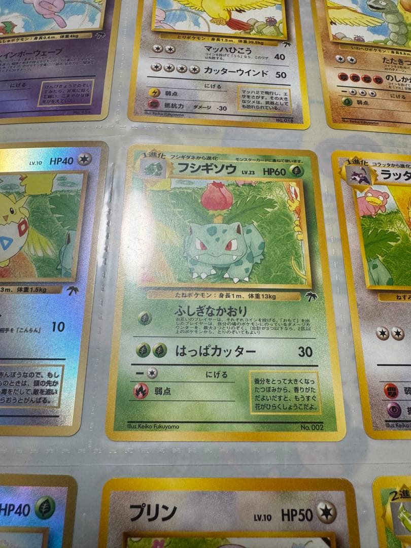 【美品】希少！レインボーアイランド サザンアイランド ポケモンカードゲーム