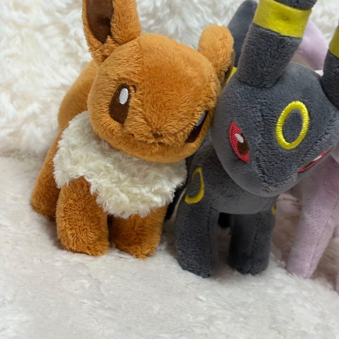 希少 ポケモン キャンバス イーブイ ブラッキー エーフィ セット 2009