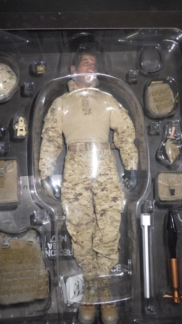 DAMTOYS　USMC M27 RIFLEMAN　78014