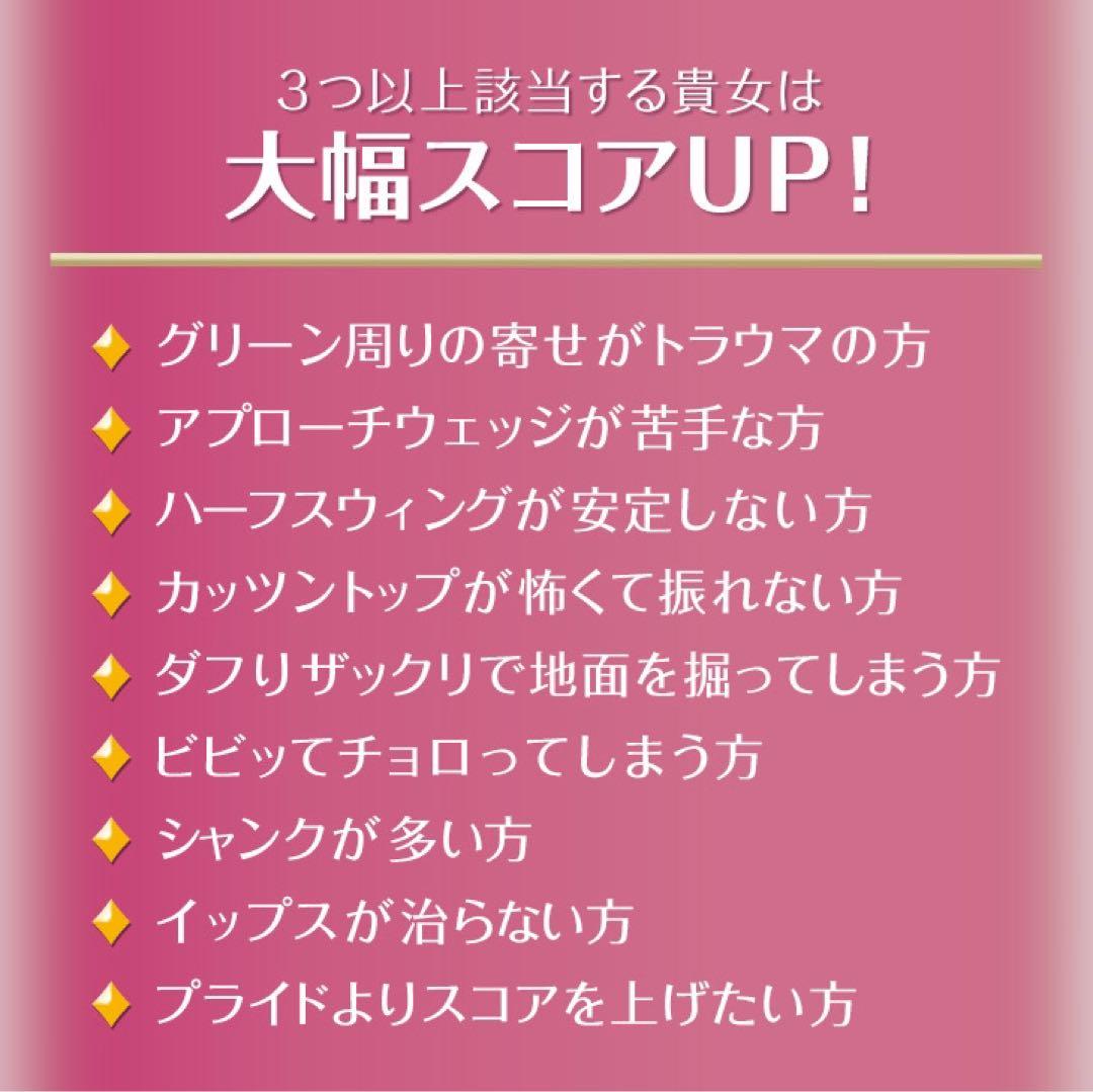 ラクラク-10打！「お助けチッパー」新発売! ダイナミクス ツアーチッパーレディ
