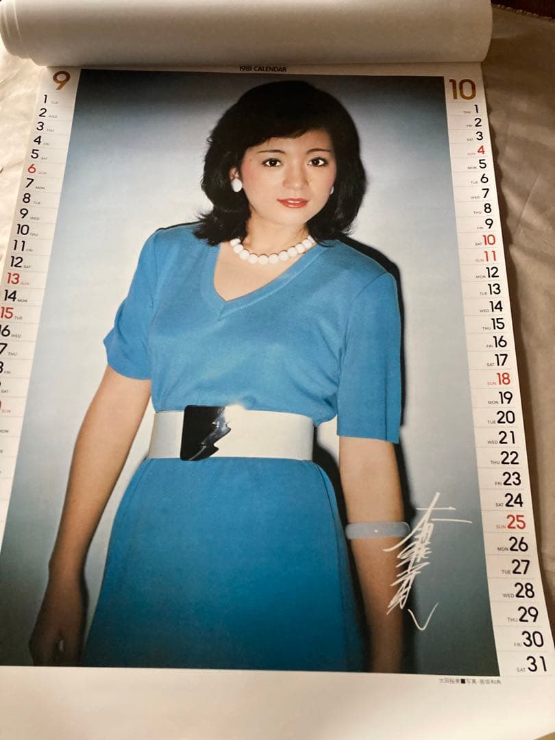 希少1981年 渡辺プロダクションカレンダー 沢田研二　石川ひとみ　太田裕美　他