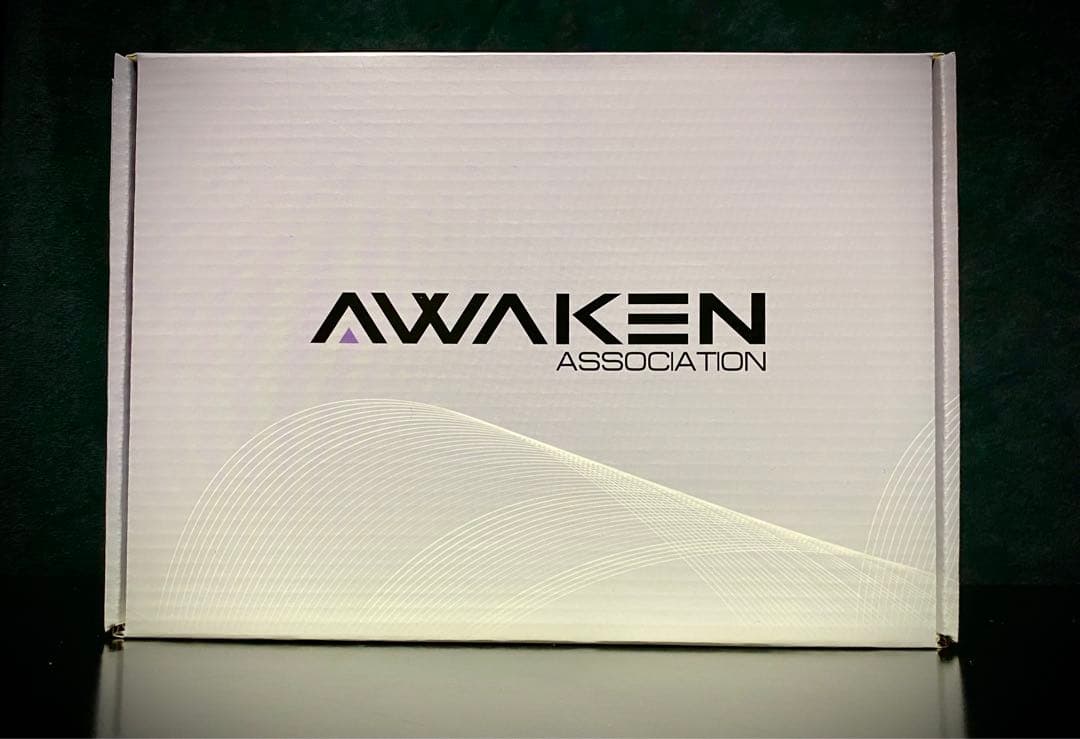 WF2025S ワンフェス AWAKEN メリュジーヌ ガレージキット