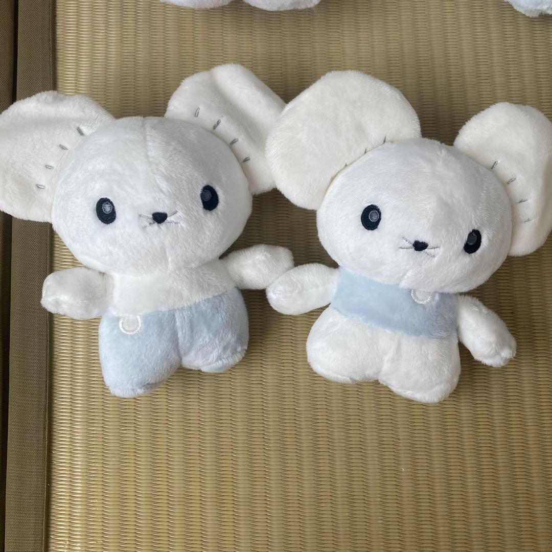ポケモンワッカネズミぬいぐるみ6体セット