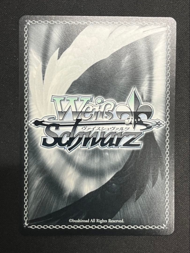 WS ガンゲイルオンライン LPFM レン SEC＋ サイン シク シークレット