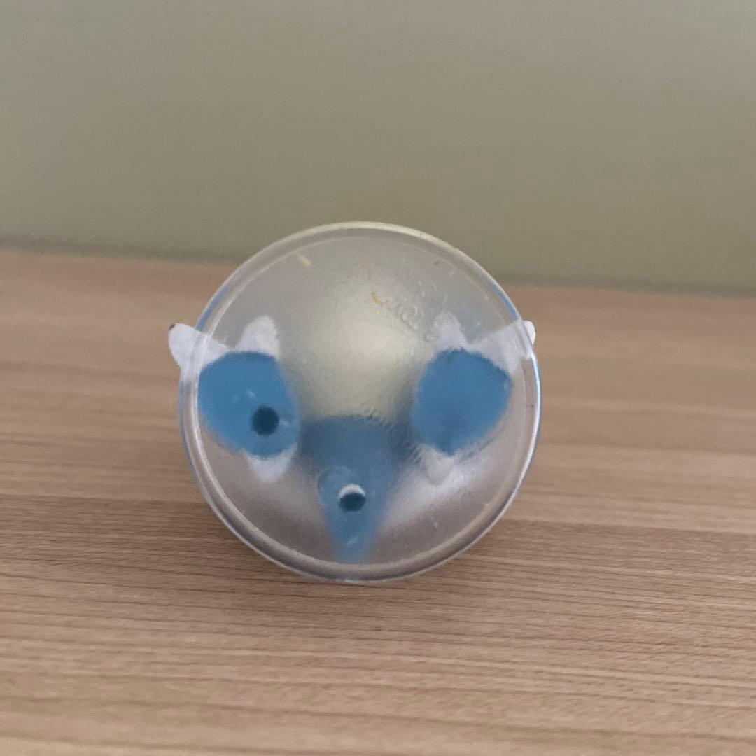 ポケットモンスター アドバンスジェネレーション　データキャリア