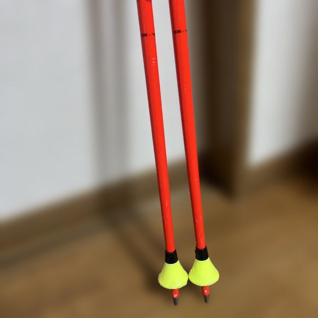 LEKI GS ストック