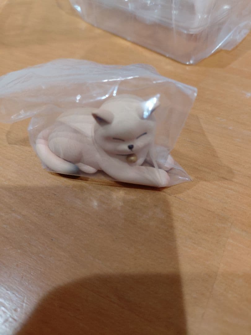 Vあやみ猫